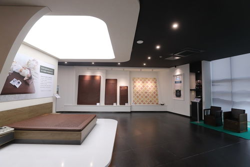 可喜安家庭喜迎新力量，健康咨詢服務為行業注入新活力